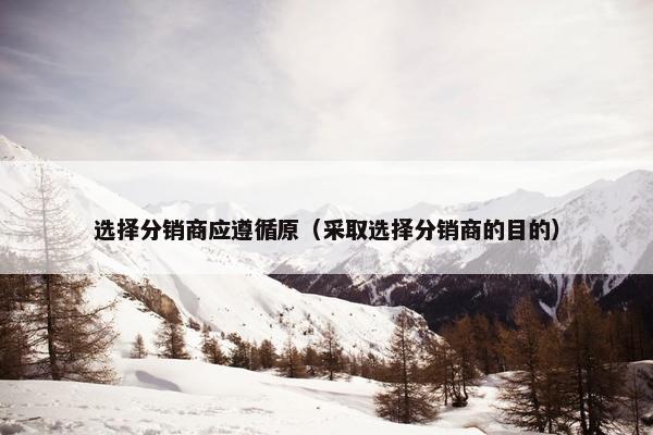 选择分销商应遵循原（采取选择分销商的目的）