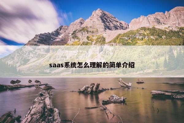saas系统怎么理解的简单介绍