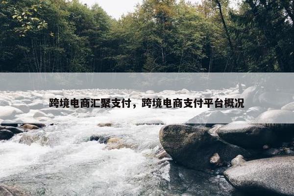 跨境电商汇聚支付，跨境电商支付平台概况