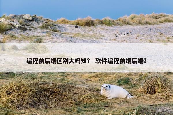 编程前后端区别大吗知？ 软件编程前端后端？