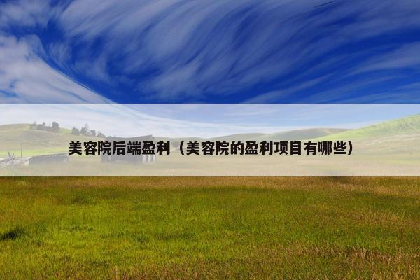 美容院后端盈利（美容院的盈利项目有哪些）