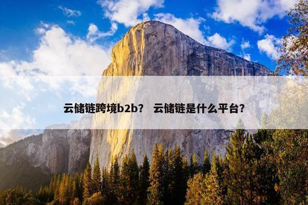 云储链跨境b2b？ 云储链是什么平台？