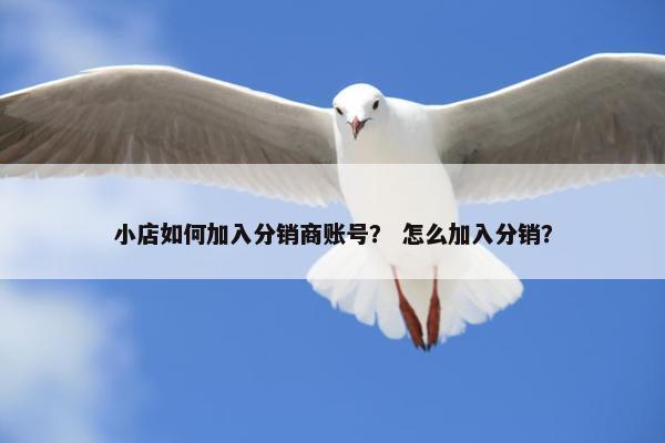 小店如何加入分销商账号？ 怎么加入分销？