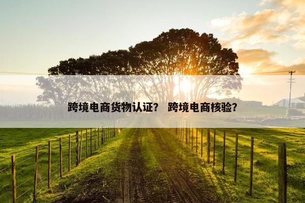 跨境电商货物认证？ 跨境电商核验？
