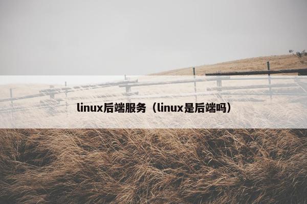 linux后端服务（linux是后端吗）