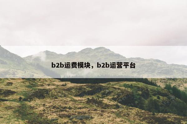 b2b运费模块，b2b运营平台
