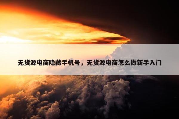 无货源电商隐藏手机号，无货源电商怎么做新手入门