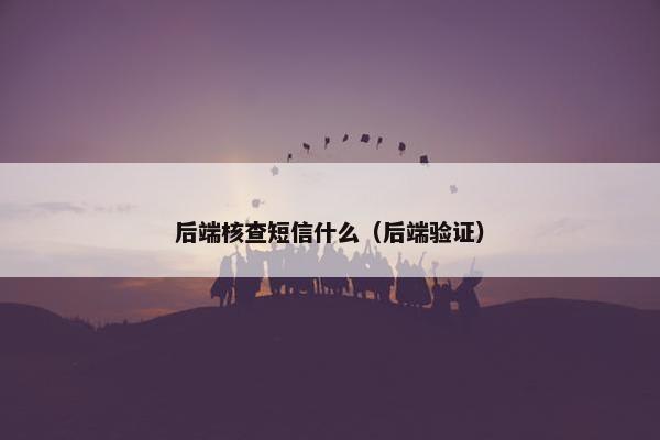 后端核查短信什么（后端验证）