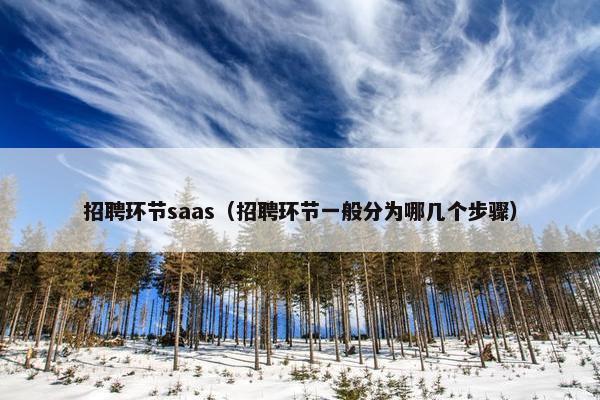 招聘环节saas（招聘环节一般分为哪几个步骤）