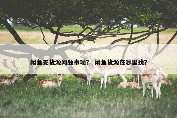 闲鱼无货源问题事项？ 闲鱼货源在哪里找？