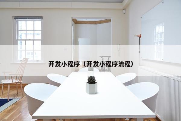 开发小程序（开发小程序流程）