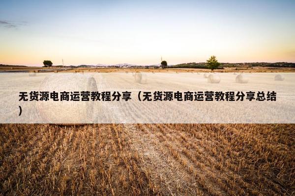 无货源电商运营教程分享（无货源电商运营教程分享总结）