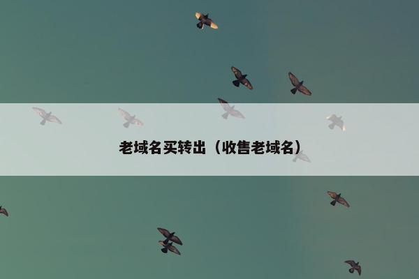 老域名买转出（收售老域名）