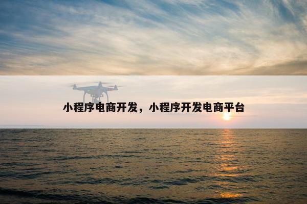 小程序电商开发，小程序开发电商平台