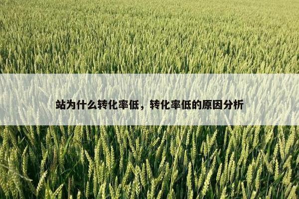 站为什么转化率低，转化率低的原因分析