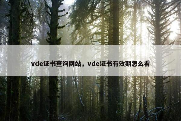 vde证书查询网站，vde证书有效期怎么看