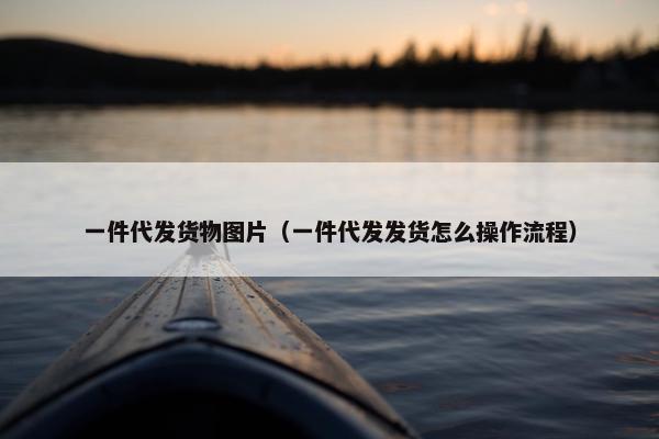 一件代发货物图片（一件代发发货怎么操作流程）