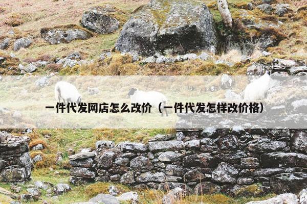 一件代发网店怎么改价（一件代发怎样改价格）