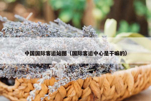 中国国际客运站图（国际客运中心是干嘛的）