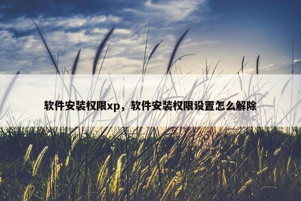 软件安装权限xp，软件安装权限设置怎么解除