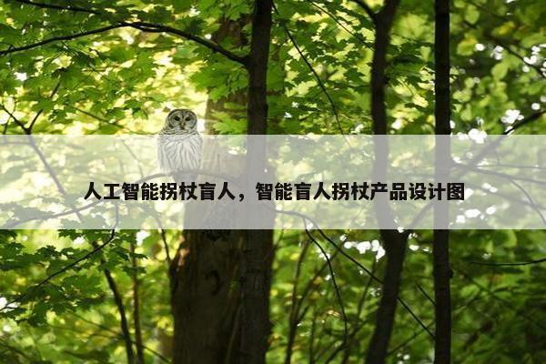 人工智能拐杖盲人，智能盲人拐杖产品设计图