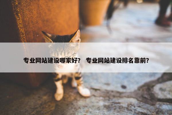 专业网站建设哪家好？ 专业网站建设排名靠前？