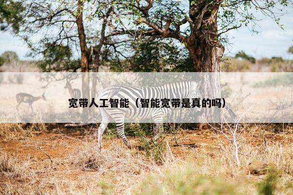 宽带人工智能（智能宽带是真的吗）