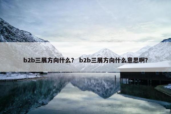b2b三展方向什么？ b2b三展方向什么意思啊？