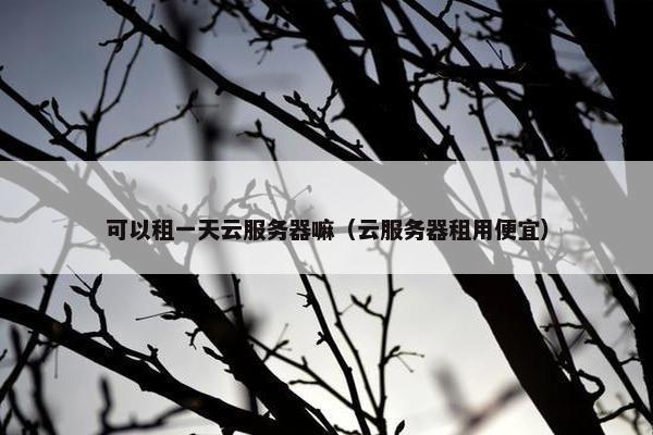 可以租一天云服务器嘛（云服务器租用便宜）