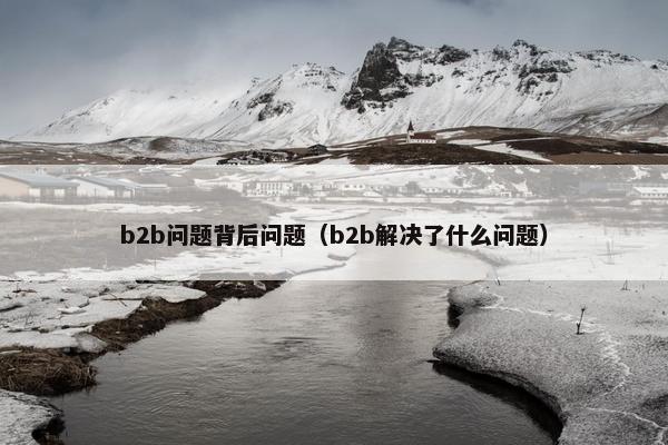 b2b问题背后问题（b2b解决了什么问题）