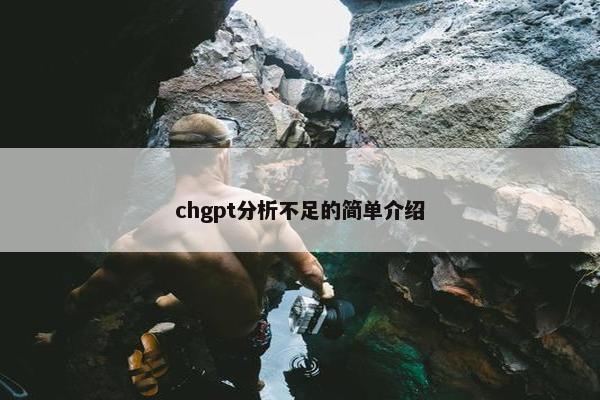 chgpt分析不足的简单介绍