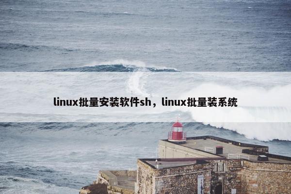 linux批量安装软件sh，linux批量装系统