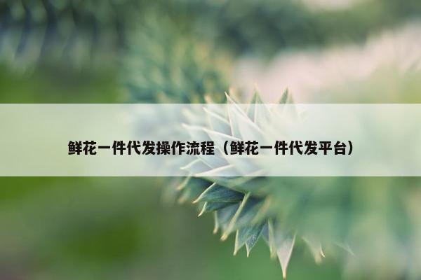 鲜花一件代发操作流程（鲜花一件代发平台）