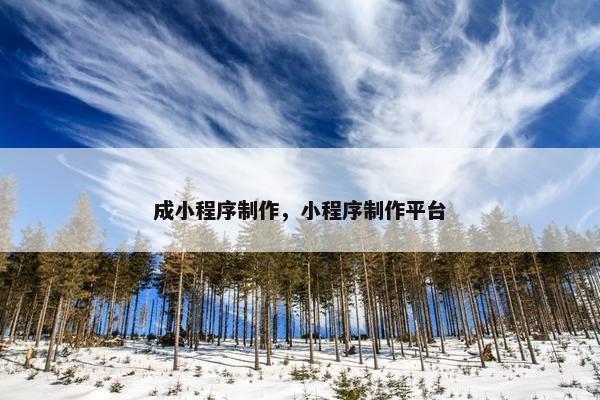 成小程序制作，小程序制作平台