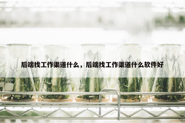 后端找工作渠道什么，后端找工作渠道什么软件好