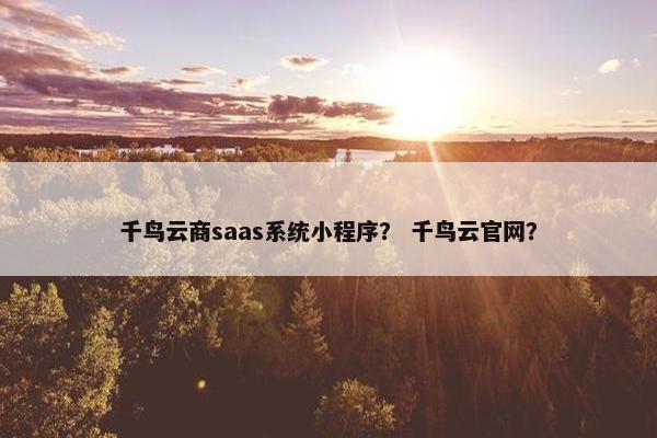 千鸟云商saas系统小程序？ 千鸟云官网？