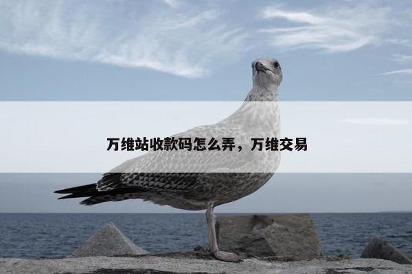 万维站收款码怎么弄，万维交易