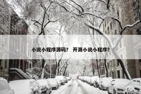 小说小程序源码？ 开源小说小程序？