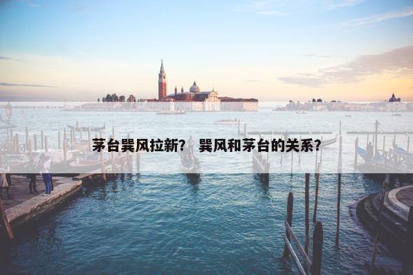 茅台巽风拉新？ 巽风和茅台的关系？