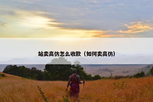 站卖高仿怎么收款（如何卖高仿）