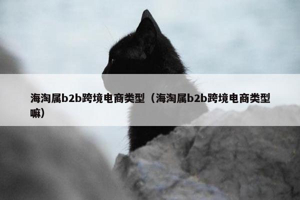 海淘属b2b跨境电商类型（海淘属b2b跨境电商类型嘛）