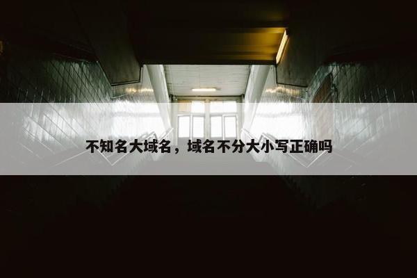不知名大域名，域名不分大小写正确吗