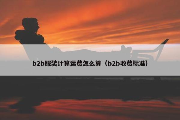 b2b服装计算运费怎么算（b2b收费标准）