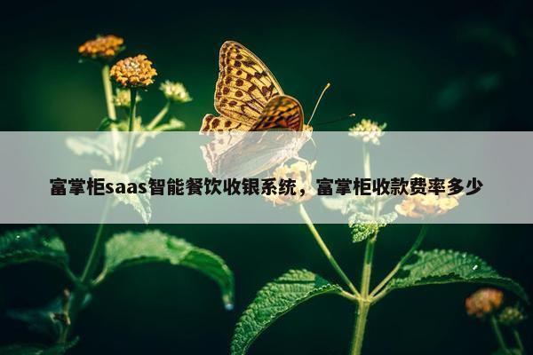 富掌柜saas智能餐饮收银系统，富掌柜收款费率多少