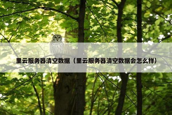 里云服务器清空数据（里云服务器清空数据会怎么样）