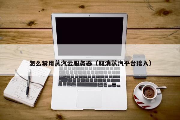 怎么禁用蒸汽云服务器（取消蒸汽平台接入）
