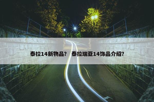泰拉14新物品？ 泰拉瑞亚14饰品介绍？