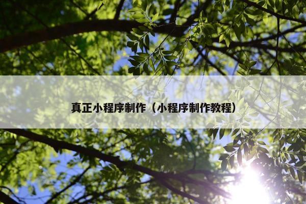 真正小程序制作（小程序制作教程）