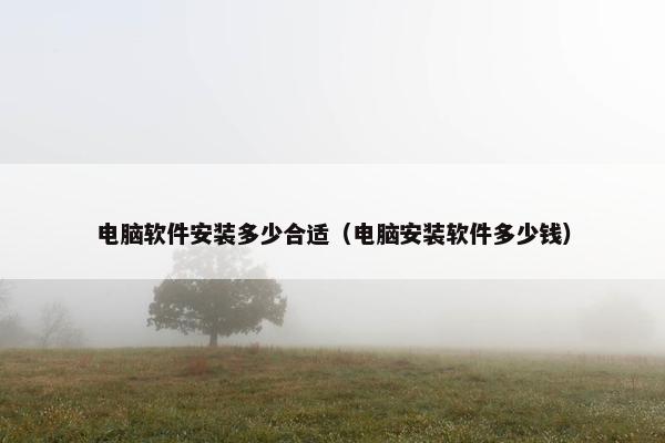 电脑软件安装多少合适（电脑安装软件多少钱）