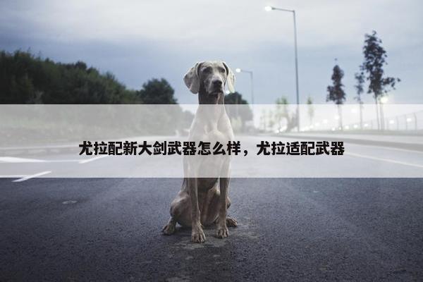 尤拉配新大剑武器怎么样，尤拉适配武器